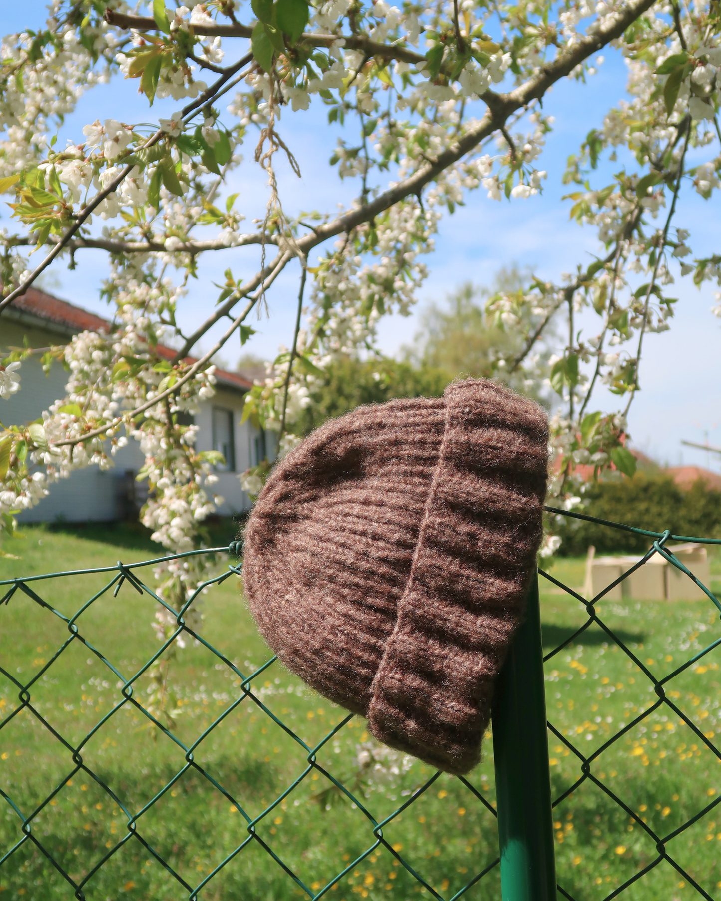 SNOWDAY Beanie | Easy Knitting Pattern